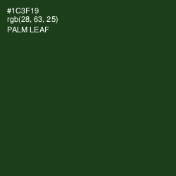 #1C3F19 - Palm Leaf Color Image